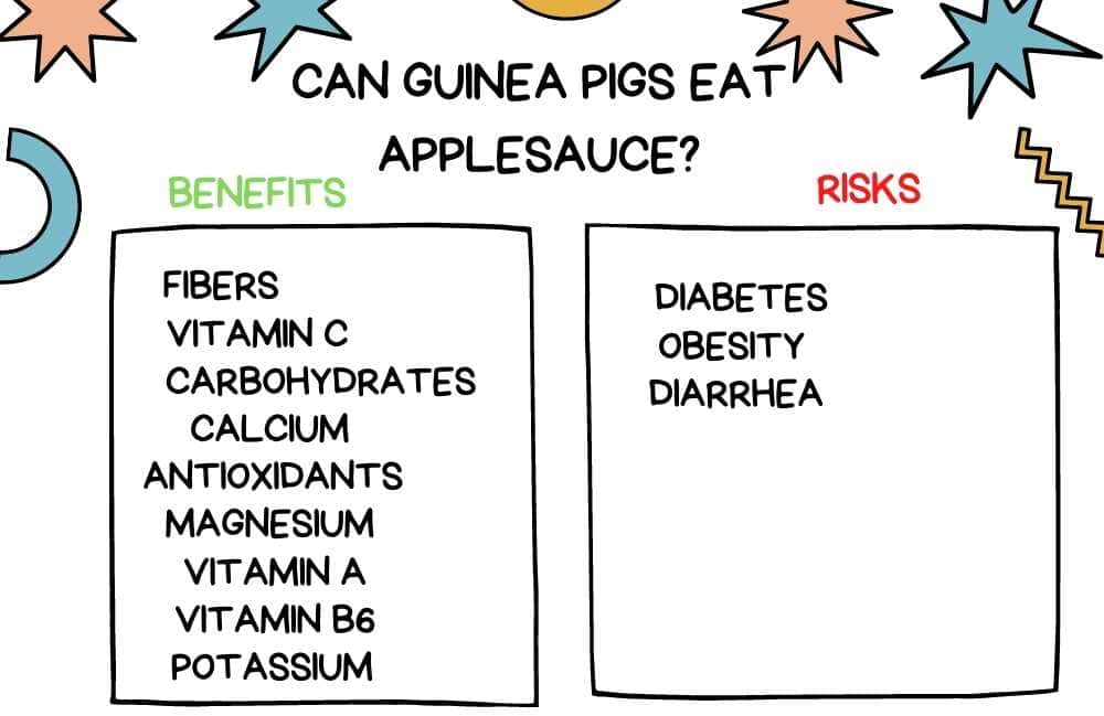 can guinea pigs eat applesauce