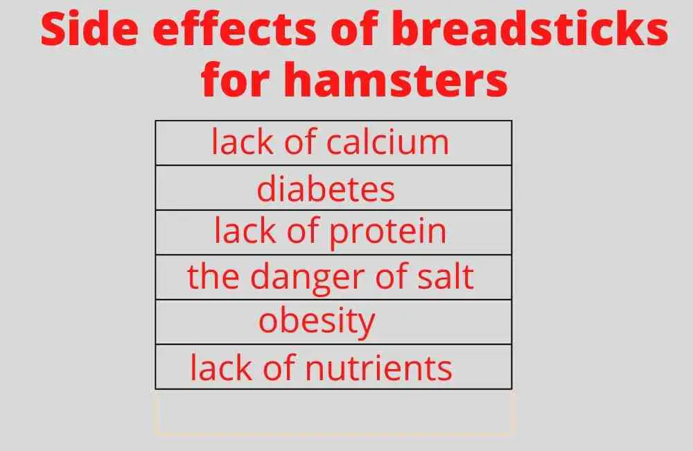 can hamsters eat breadsticks