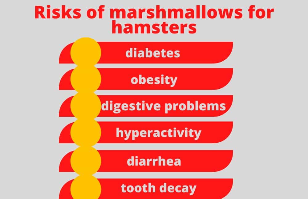 can hamsters eat marshmallows