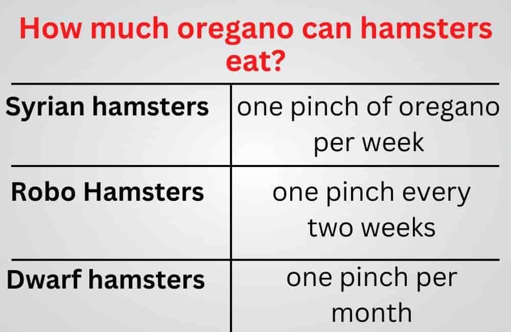 can hamsters eat oregano