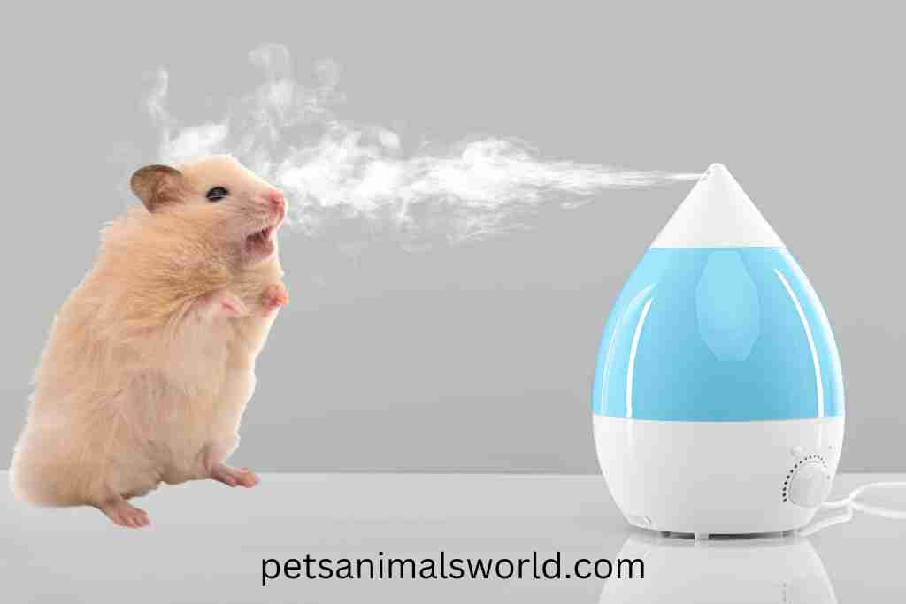 are humidifiers good or bad for hamsters