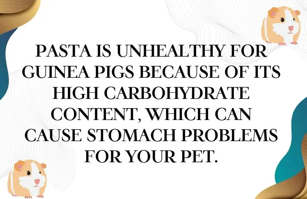 can guinea pigs eat pasta