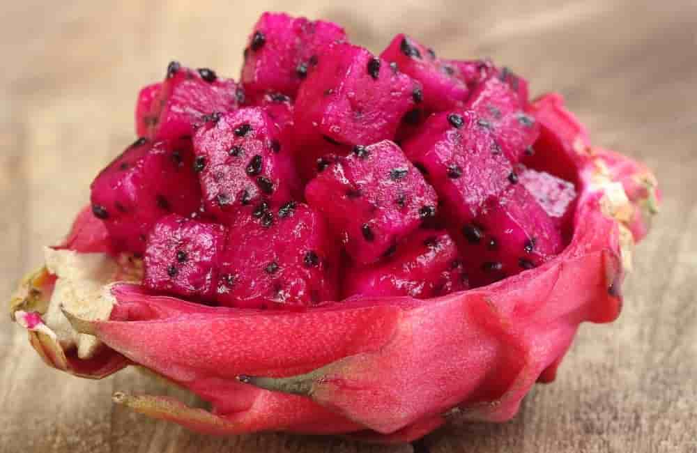 can hamsters eat dragon fruit
