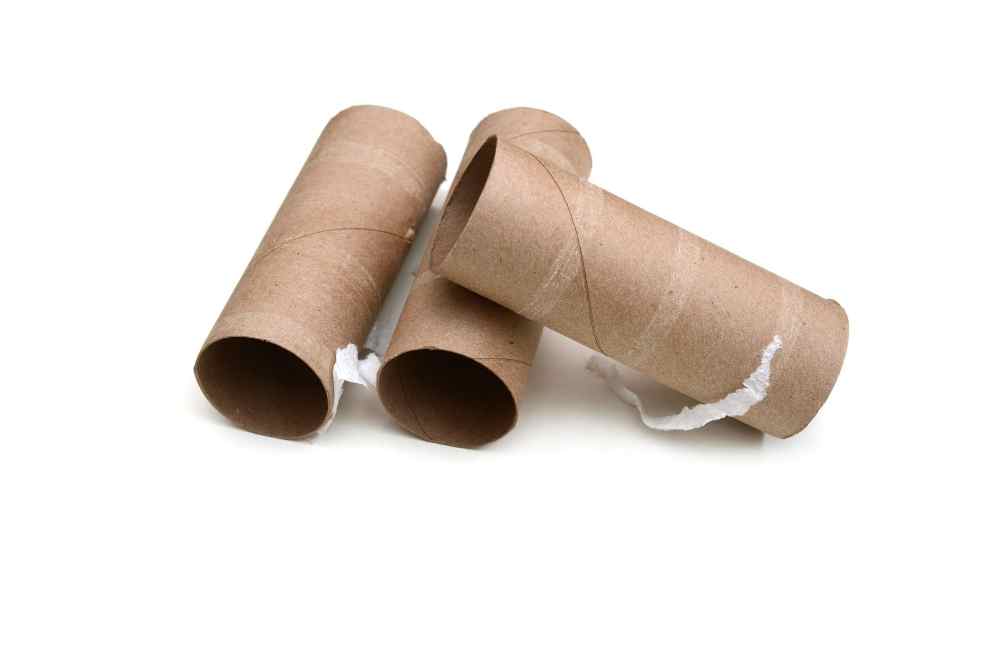 can guinea pigs eat toilet paper rolls