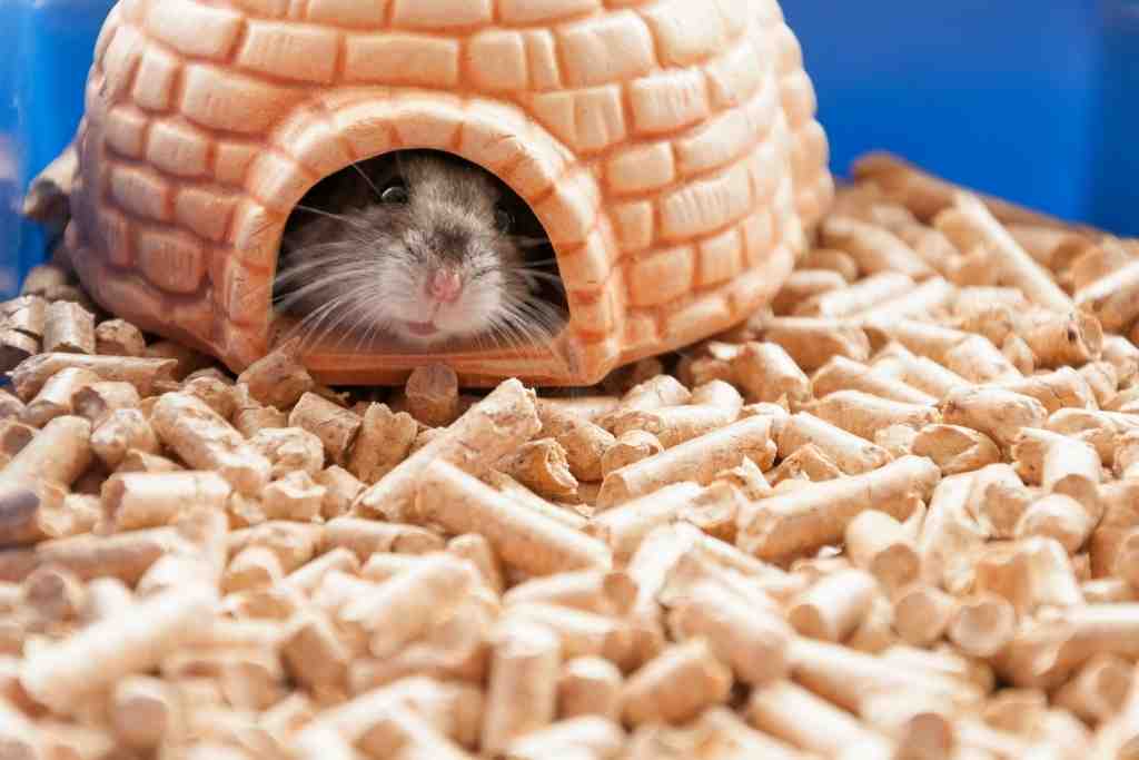 safe hamster bedding