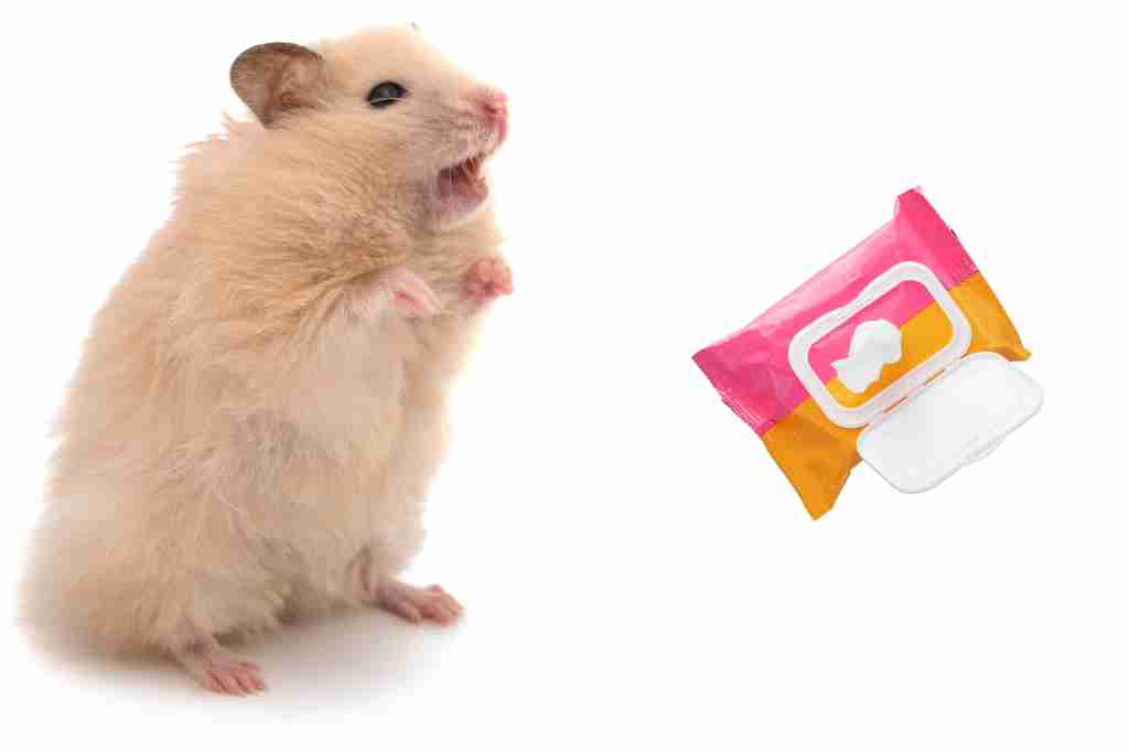 can you clean your hamster with baby wipes