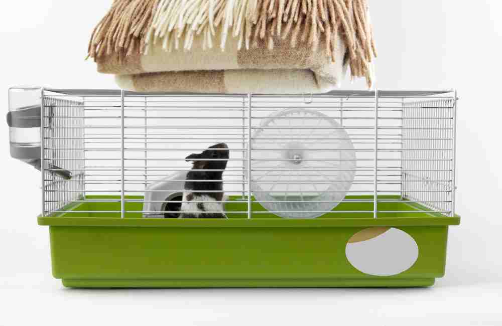 cover your hamster's cage at night