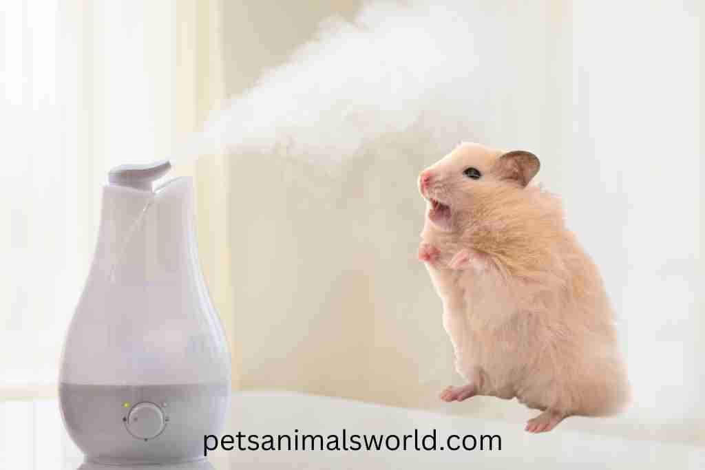 are humidifiers good or bad for hamsters