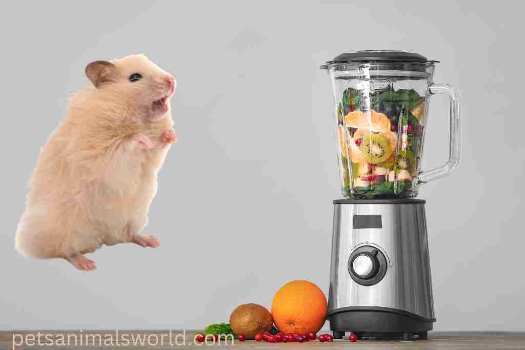 how to make porridge for your hamsters